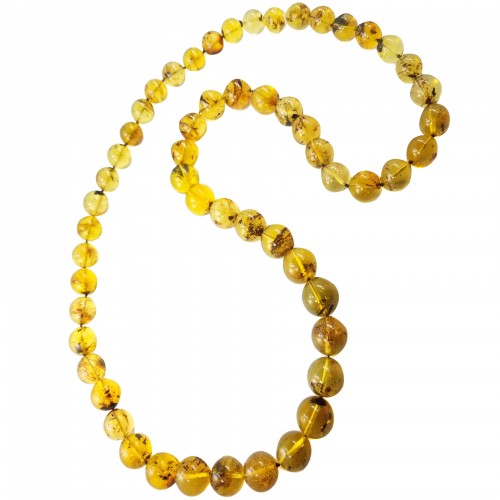 dominican-amber-gem-strand-flora-fossil-00
